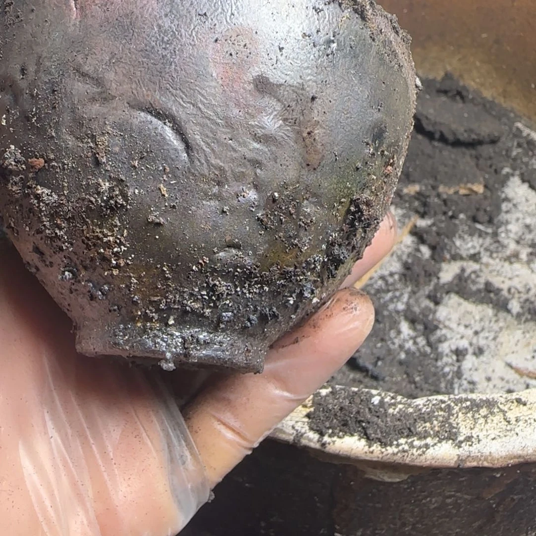 茶盏J****n柴烧建盏闪购链接19