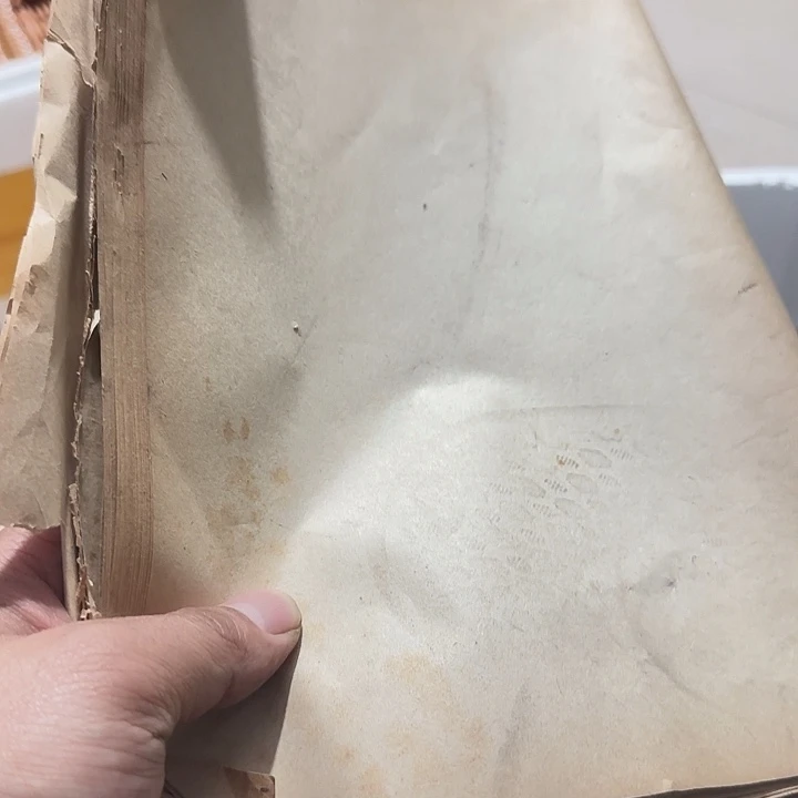 橄榄核其他千**雪Chfgfgfgfgfgff