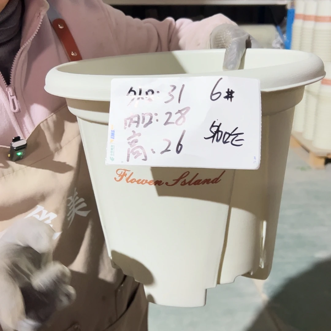 青山盆6#米白色5个无托