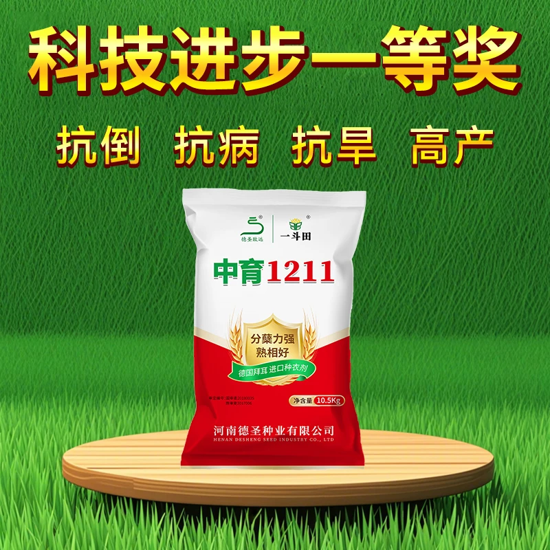 中育1211高产小麦种子10.5kg抗冻抗寒分蘖强产量高抗倒伏抗病正品