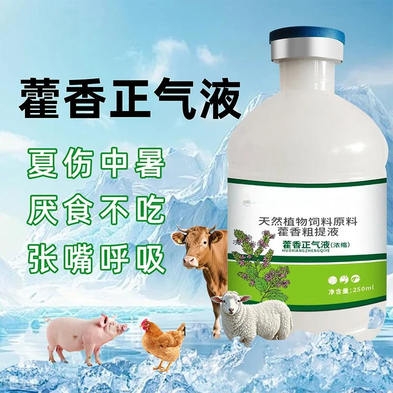 畜禽用藿香正气液【多买多送】养殖常备猪牛羊鸡鸭鹅添加剂250ml