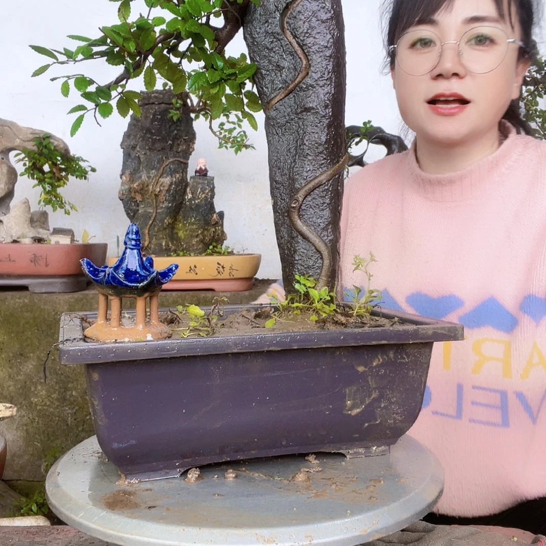 刘***征无花朵直播间已有很多很多好多好多