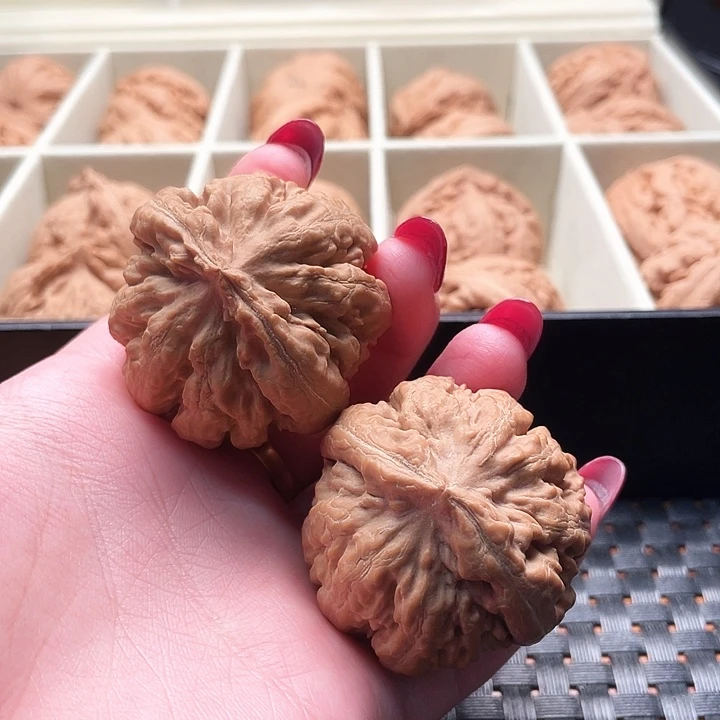 用***2霸王龙核桃尺寸42