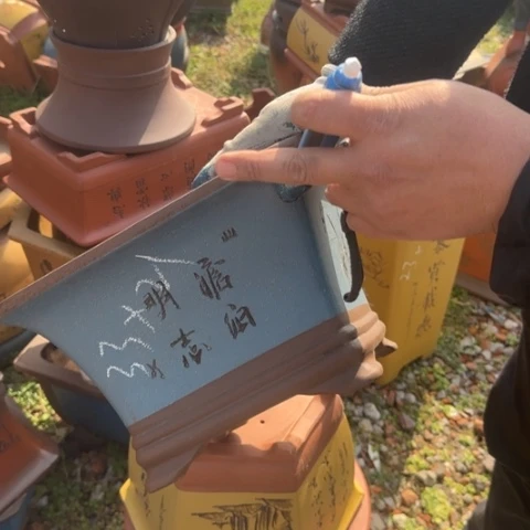 红陶紫砂花盆盆景盆栽