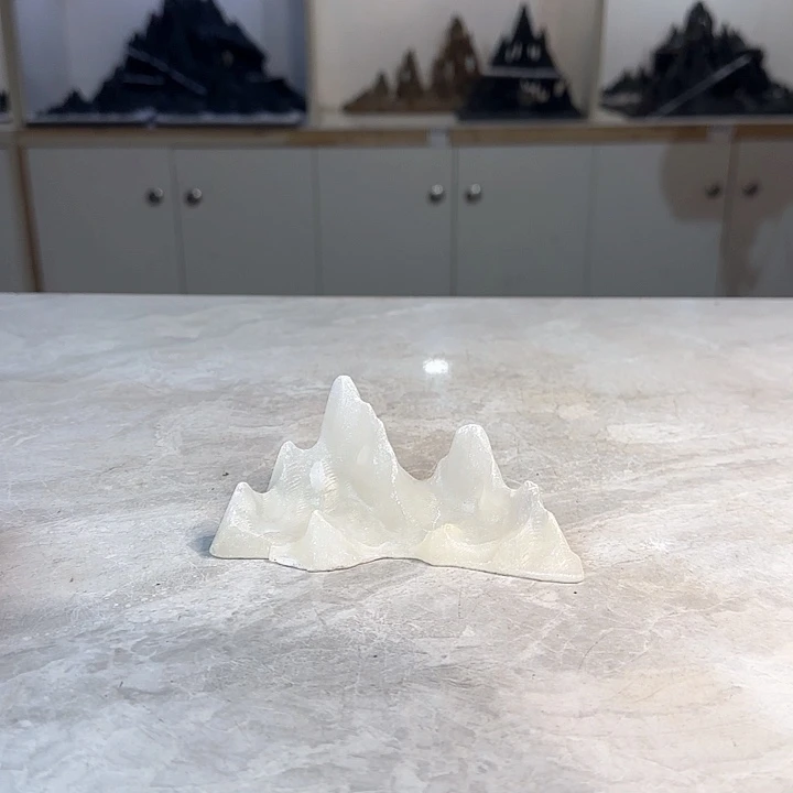 灵璧奇石博览会金奖用****2