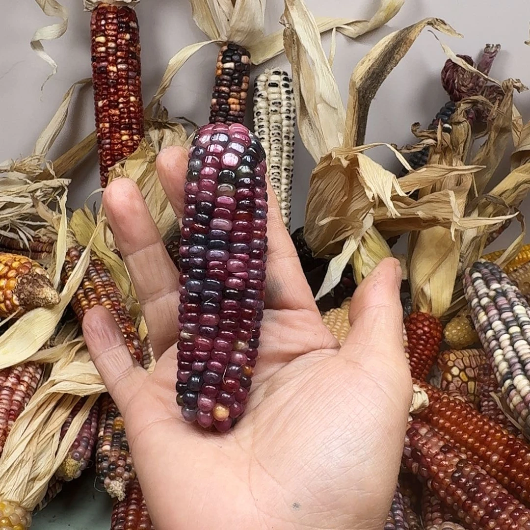 用***9柏香籽/百香籽吊坠