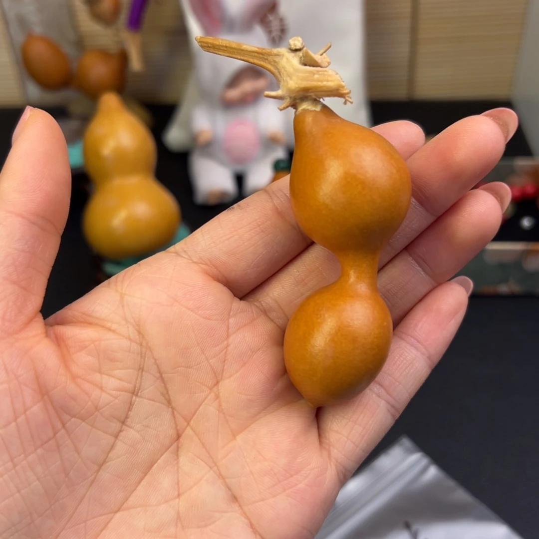 有***卷葫芦葫芦葫芦葫芦葫芦葫芦葫芦