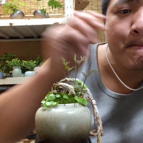 红陶?****.一物一拍所见即所得195