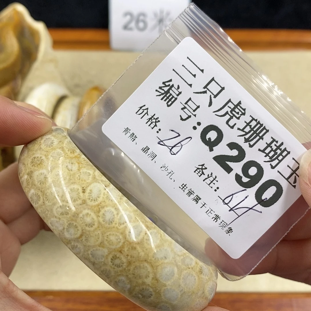 硅化珊瑚（珊瑚玉）1未镶嵌曾**时