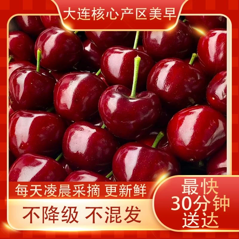 【新融闪送】大连美早樱桃 4J/5J/6J/【精美大包装红色礼盒】2.4斤装【净重1.8斤】 新鲜采摘鲜甜爆汁大连美早
