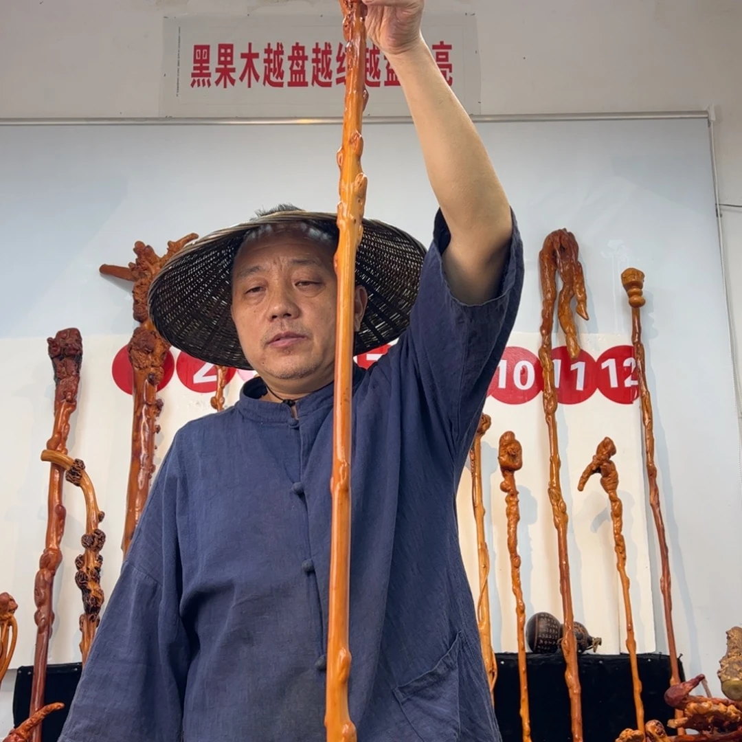 身***湖黑果木其他黑果木441