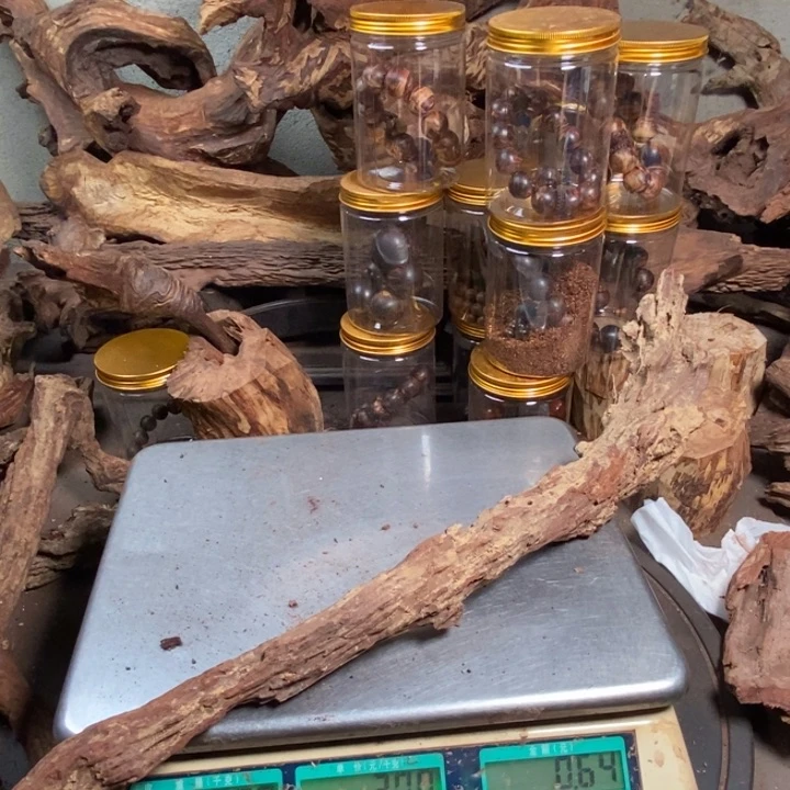 黄花梨/降香黄檀江***U