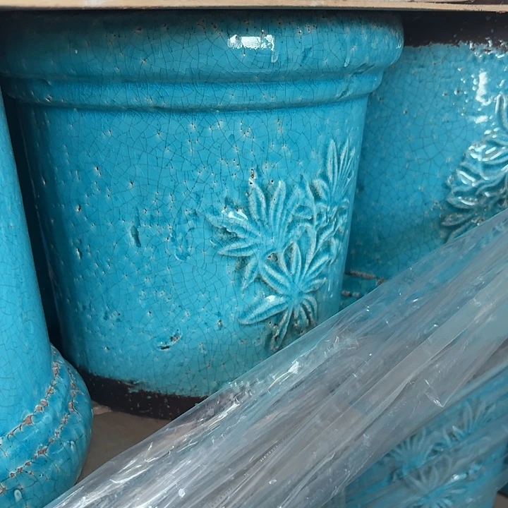 许纯的花房 蓝色香草 没有瑕疵
