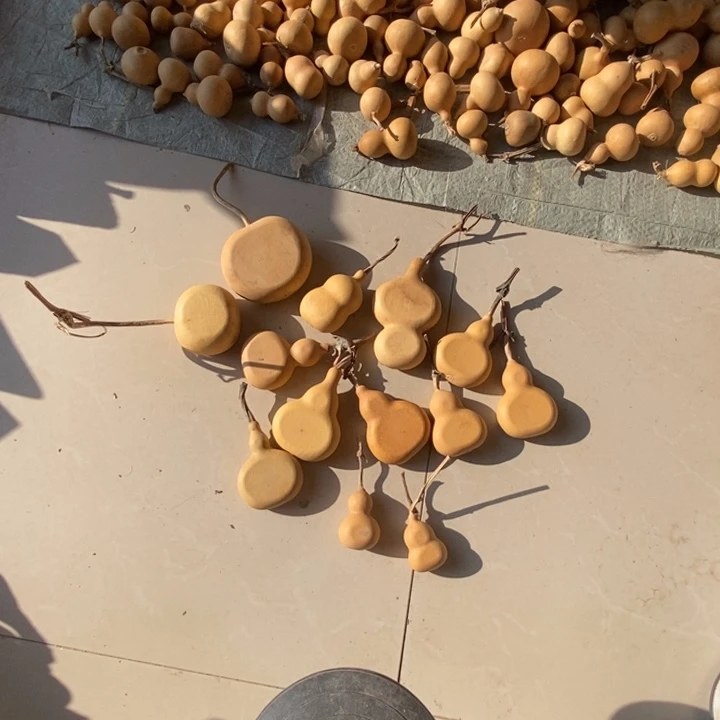 葫芦夹扁葫芦葫芦