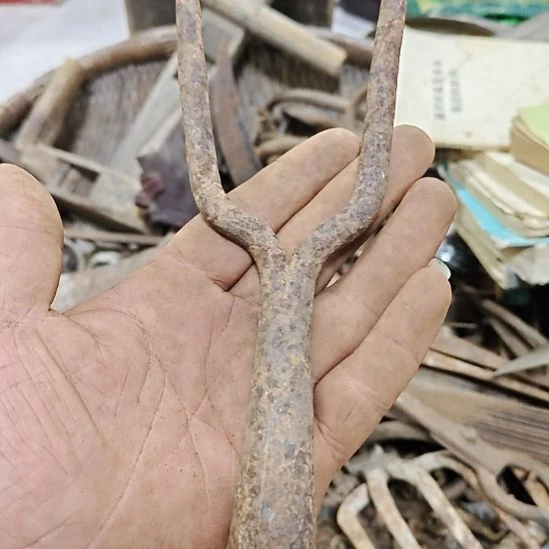 木111111111111111111111