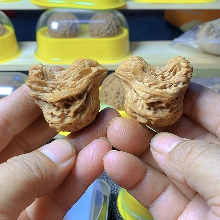 大叶紫檀（黑酸枝木类）王永