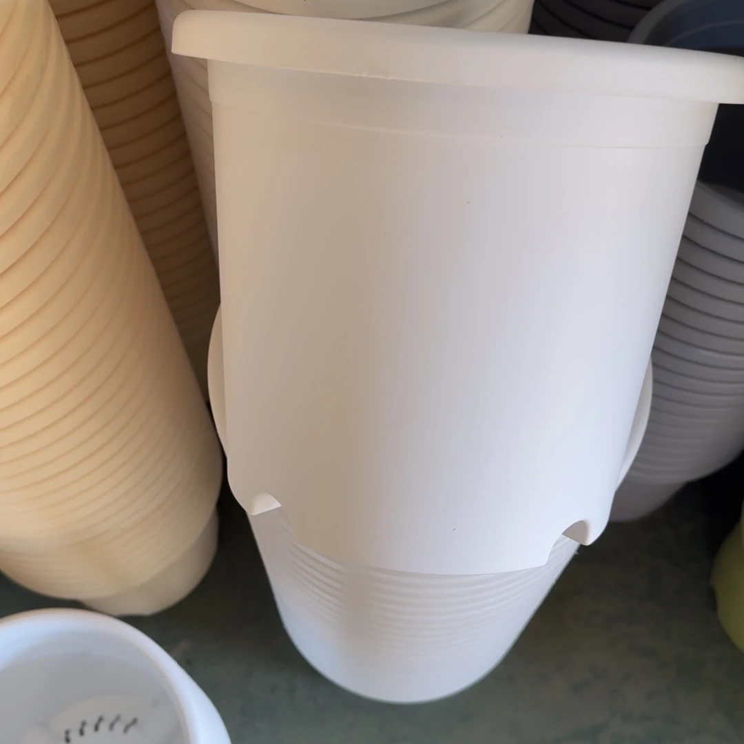 四季4#无拖纯白6个