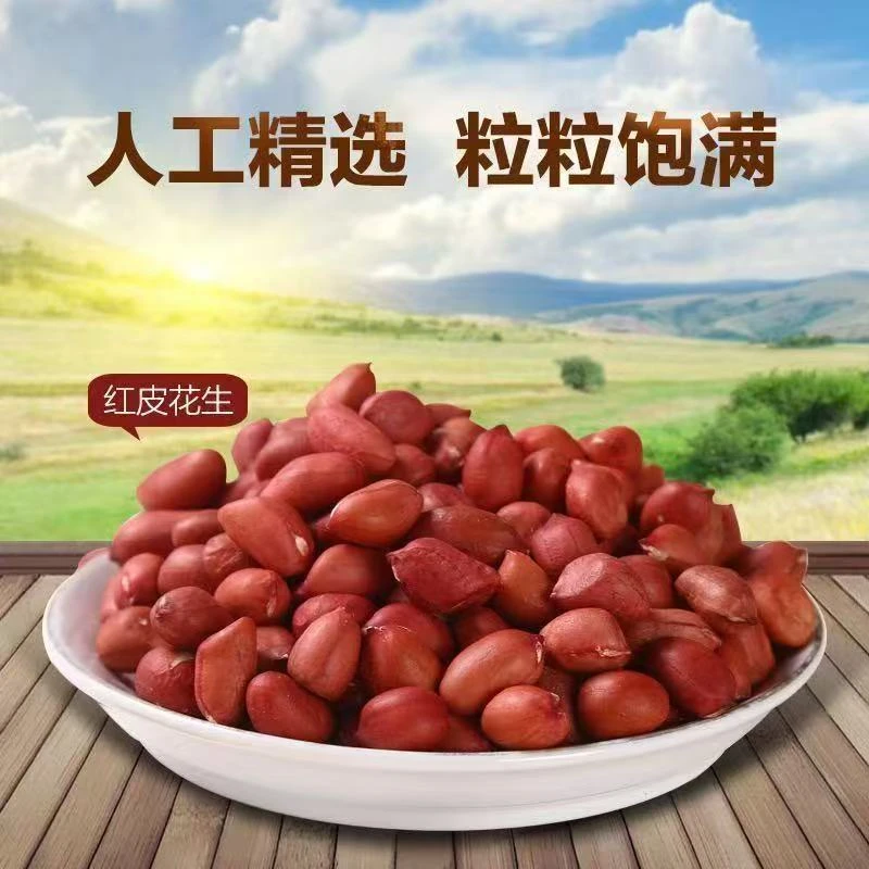 大土地的红皮花生