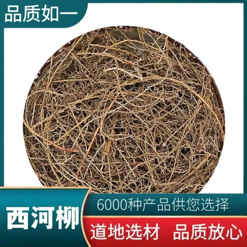 中药材 三春柳 柽柳 西河柳 山川柳 赤怪柳 西湖柳 赤柽柳 观音柳