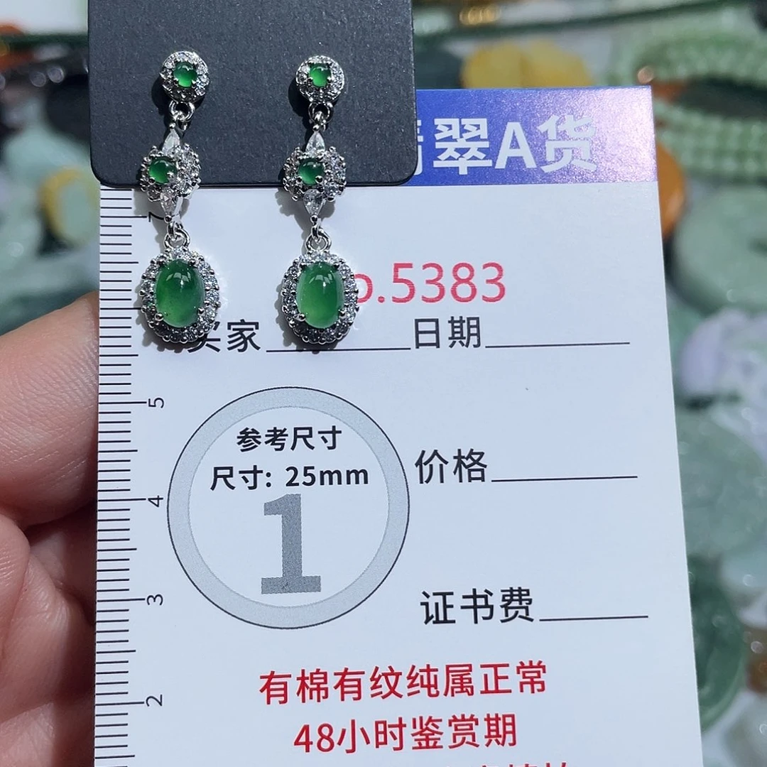 翡翠未镶嵌挂件5383