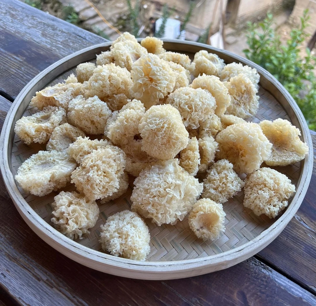 【小银耳】椴木小银耳大山营养美味特产