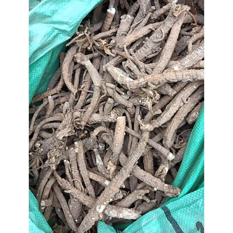 山货虎皮沙参、山货煲汤很好500g