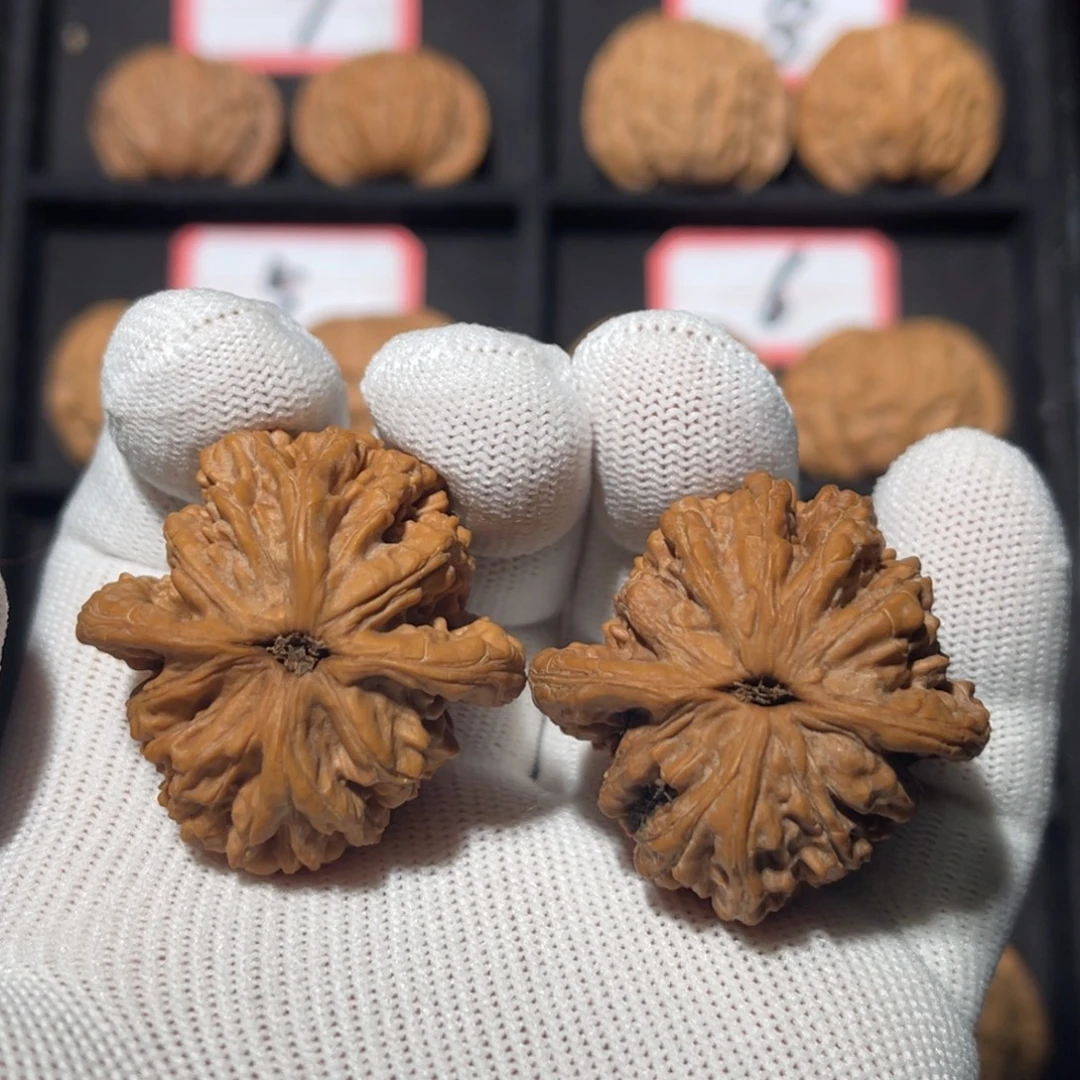 文玩核桃吊坠01秦皇岛山地果全品粗筋虎头