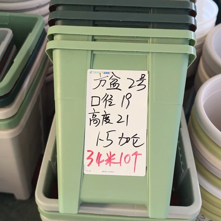方19口径10个无托浅绿