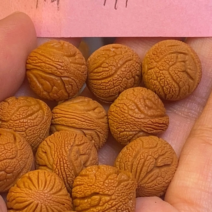 桃核吊坠秦岭龙纹桃核222