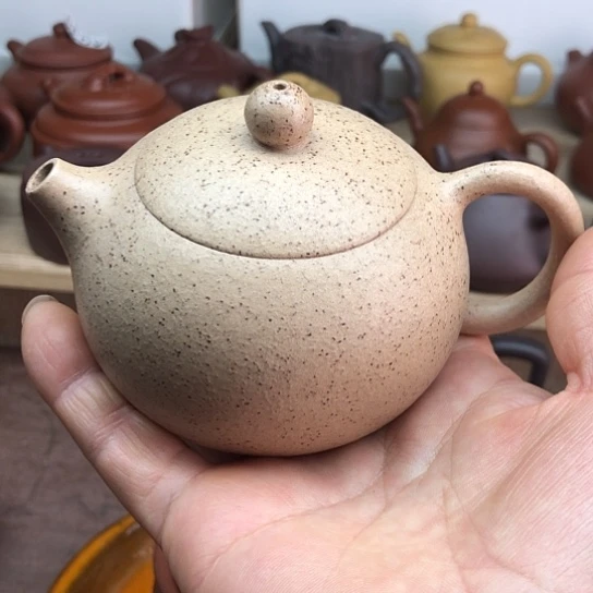 茶壶紫砂白段西施180豪生左右