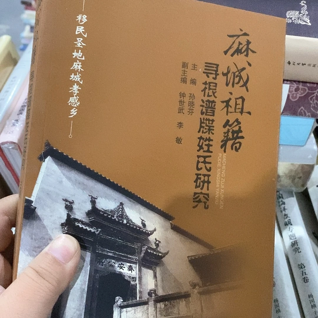 麻城什么姓氏研究……