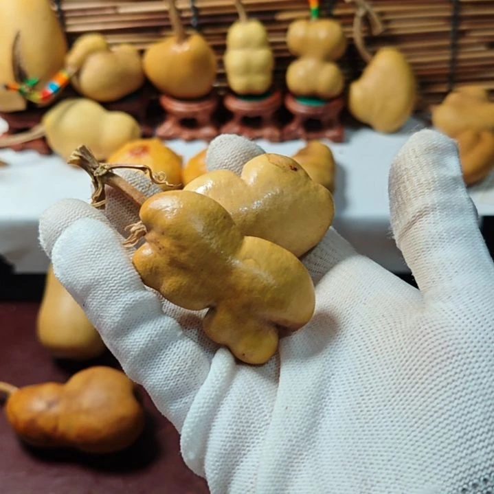 .***七精品土豆葫芦一物一拍