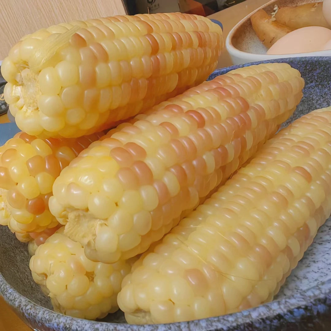 【大头团队】云南西双版纳香糯小玉米真空包装即食低脂粗粮早餐