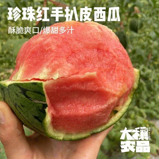 手掰扒皮西瓜脆嫩鲜果爆甜酥脆新鲜包破包熟皮薄精选现摘2-5枚装