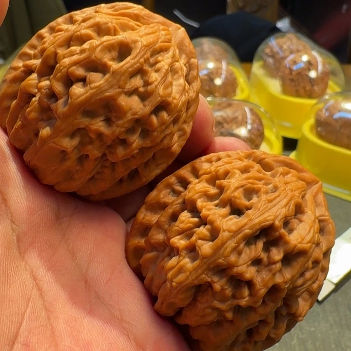 2025精品红锦鲤43
