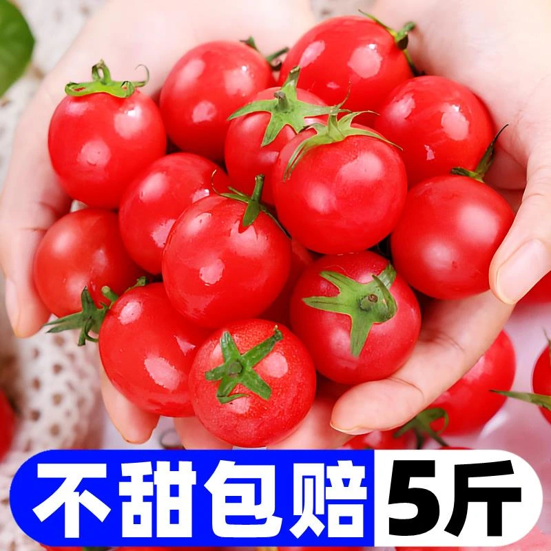 即食广西千禧小番茄圣女果小西红柿爆汁新鲜应季水果生吃包邮