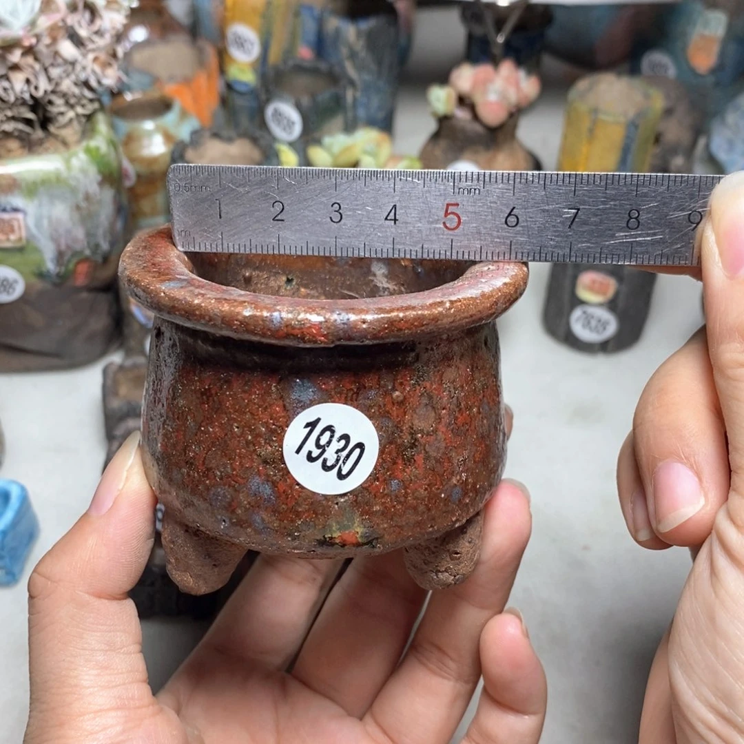 拍3送一9.9的拍5送同款