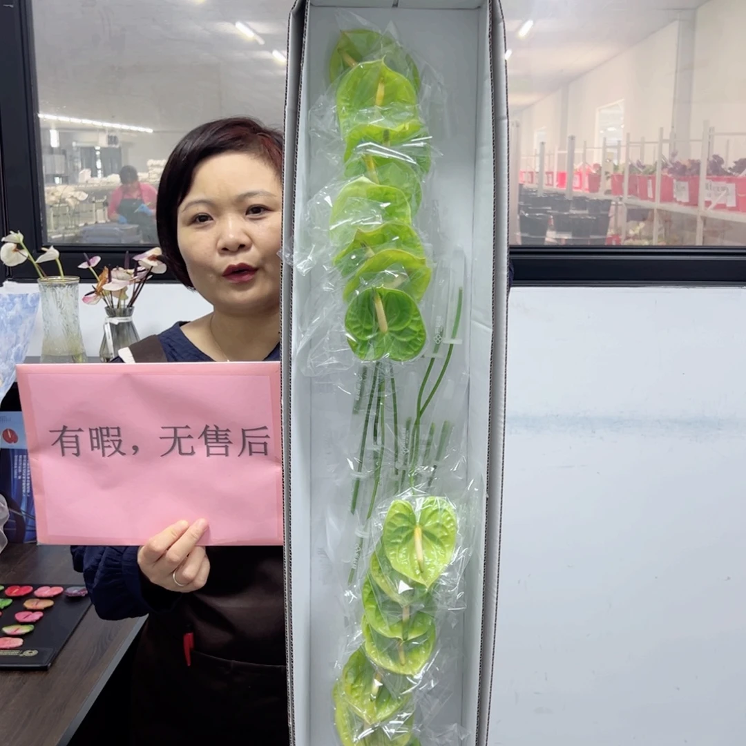 完全开放绿色16枝微瑕无售后款