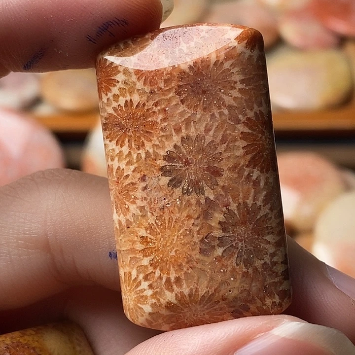 载***歌硅化珊瑚未镶嵌颈饰