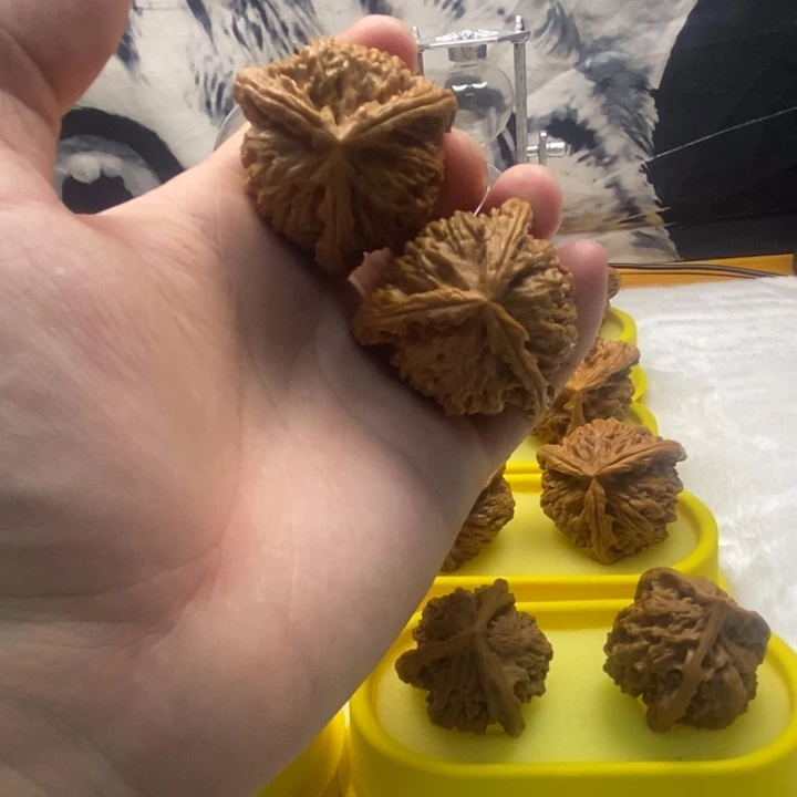 文玩核桃吊坠玉龙粗筋