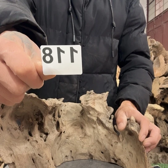 列****。紫砂噜啦啦啦啦啦啦