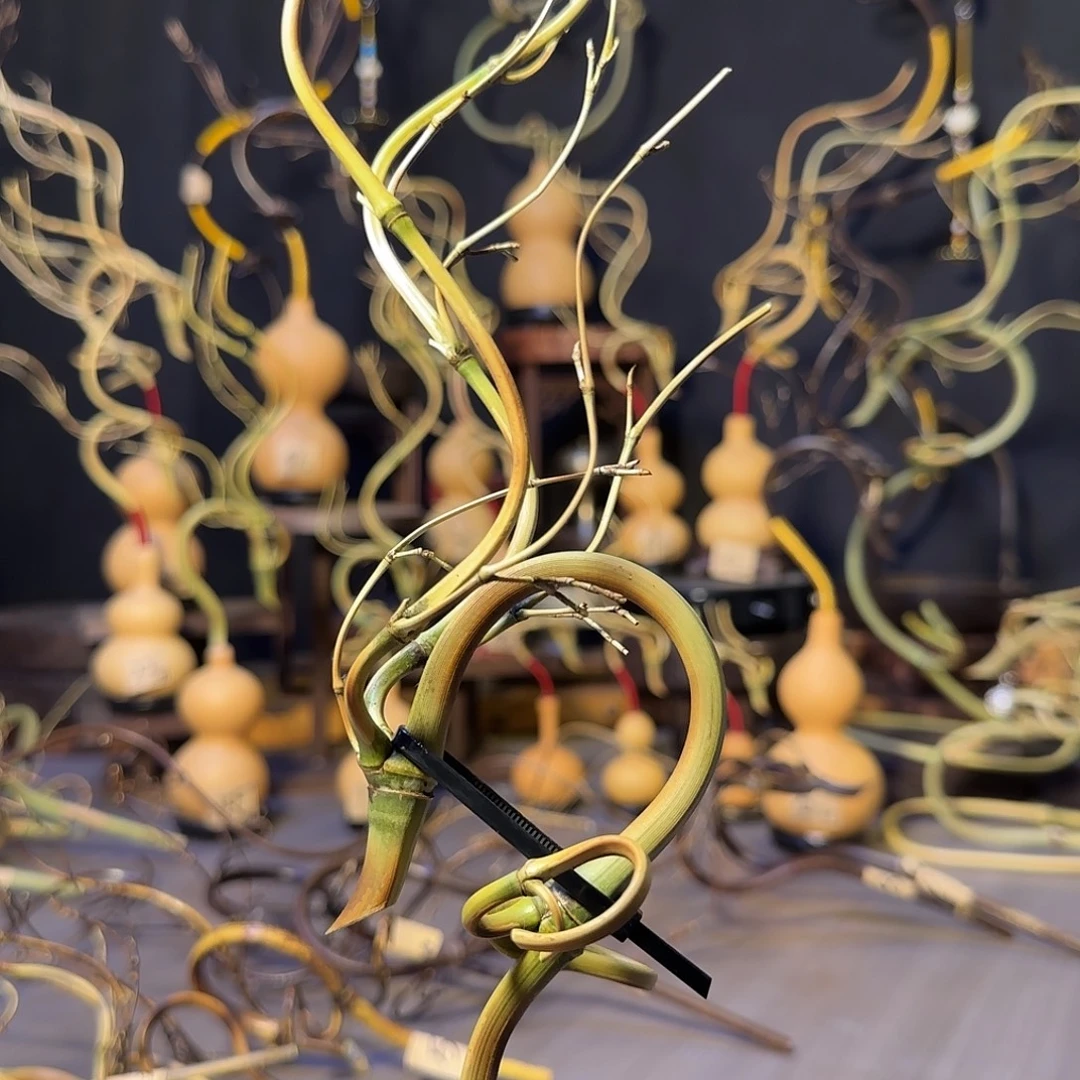 熏***孙倒流香葫芦龙头一个