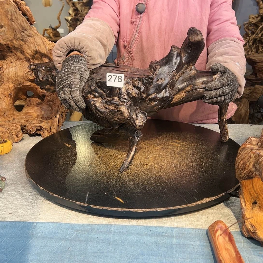 木与**舞278ggggggggggggggggggg