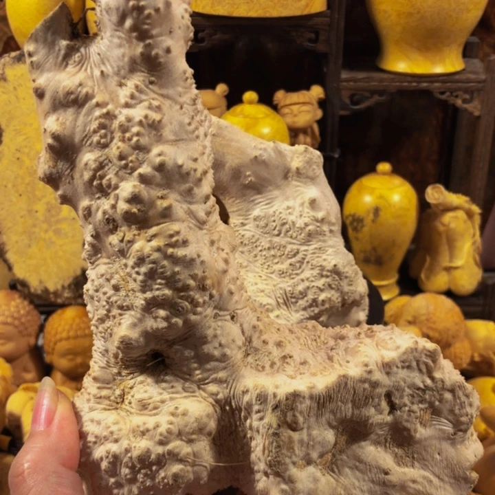 向***赚木木料木料木料木料