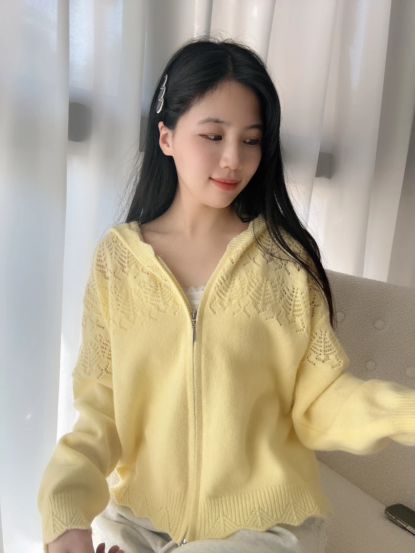 2025春季新款镂空设计感重工帽衫外套时尚花纹气质长袖连帽上衣