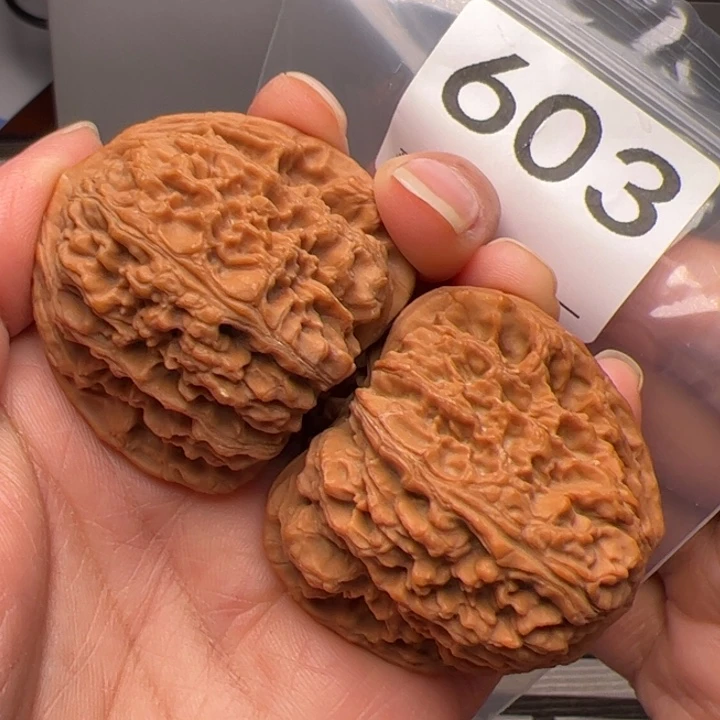 核桃全品三角疆44尺603号