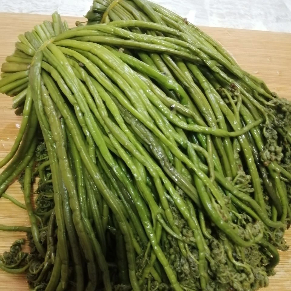 新鲜清水蕨菜当季现摘绿色山野菜可做下饭菜