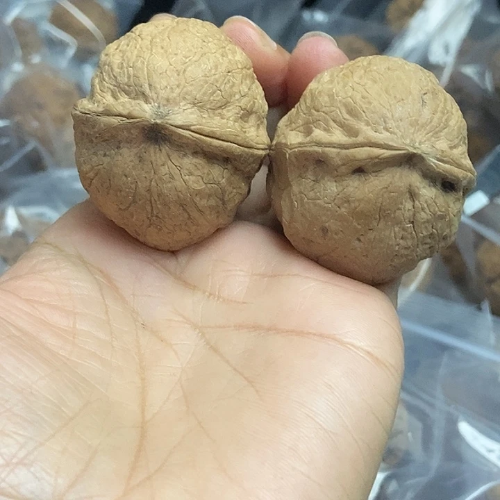 木质类云南铁核桃+28