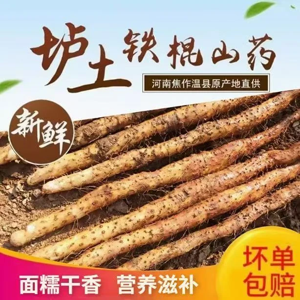 怀甄新鲜采挖软糯粉温县垆土铁棍山药5斤蔬菜养生食材原产地直发