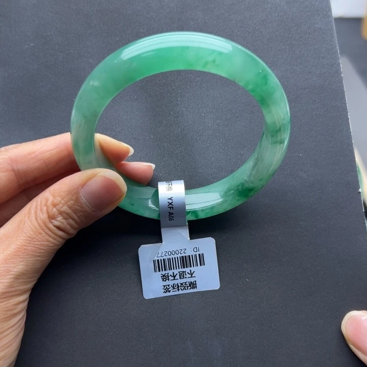 石英质玉未镶嵌手镯燕子➕59.8